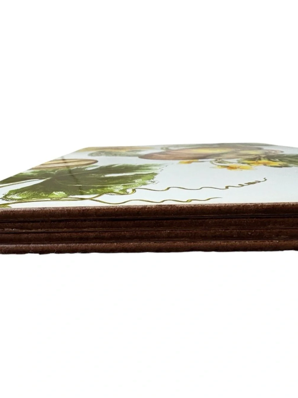 Williams Sonoma Vintage Botanical Pumpkin Cork-Back Placemats Set of 4 Fall